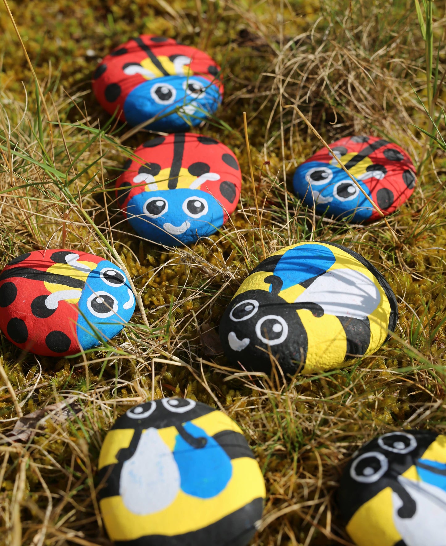 Royal Horticultural Society Rock Painting Kit - Bugs