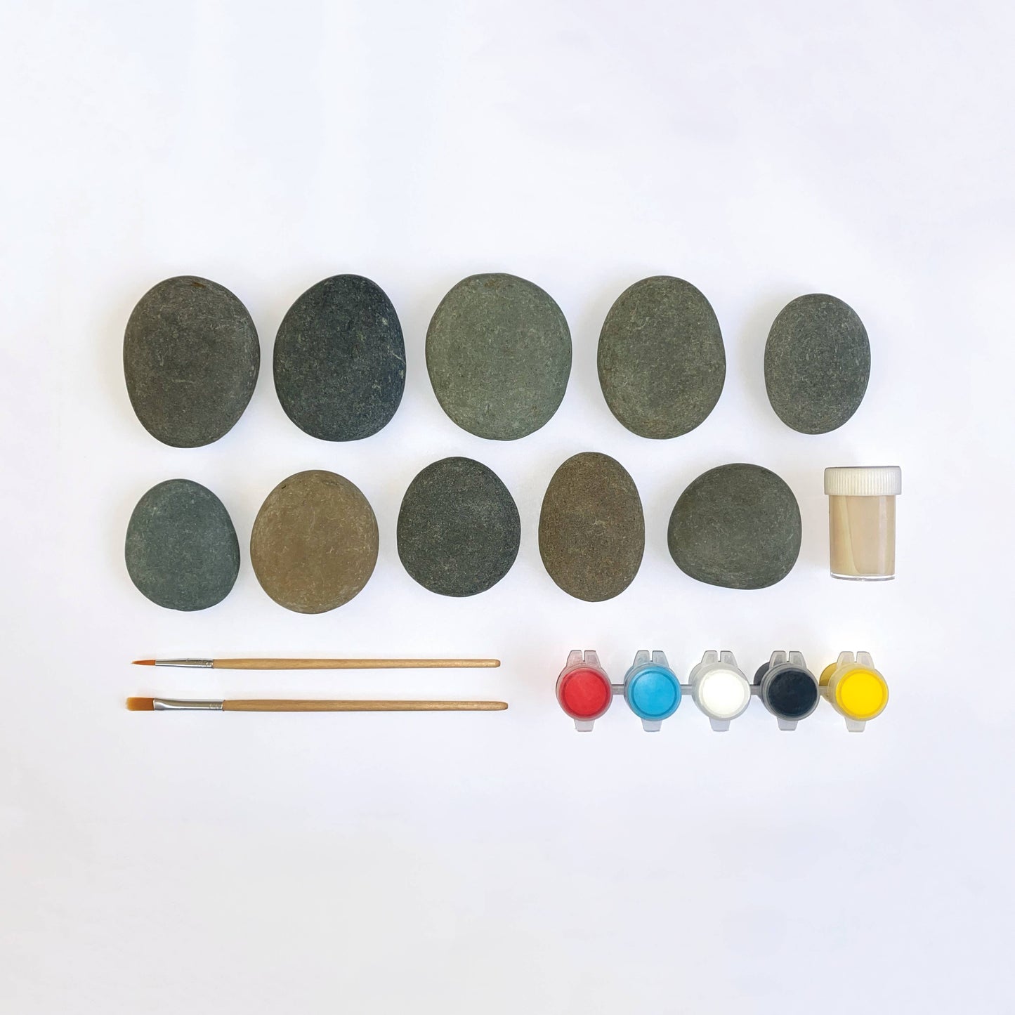 Royal Horticultural Society Rock Painting Kit - Bugs