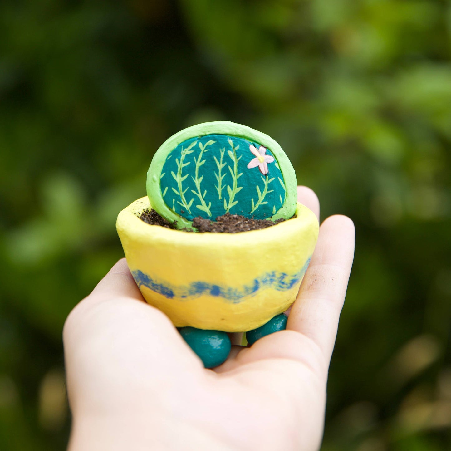 Royal Horticultural Society Air Dry Clay Kit Nature