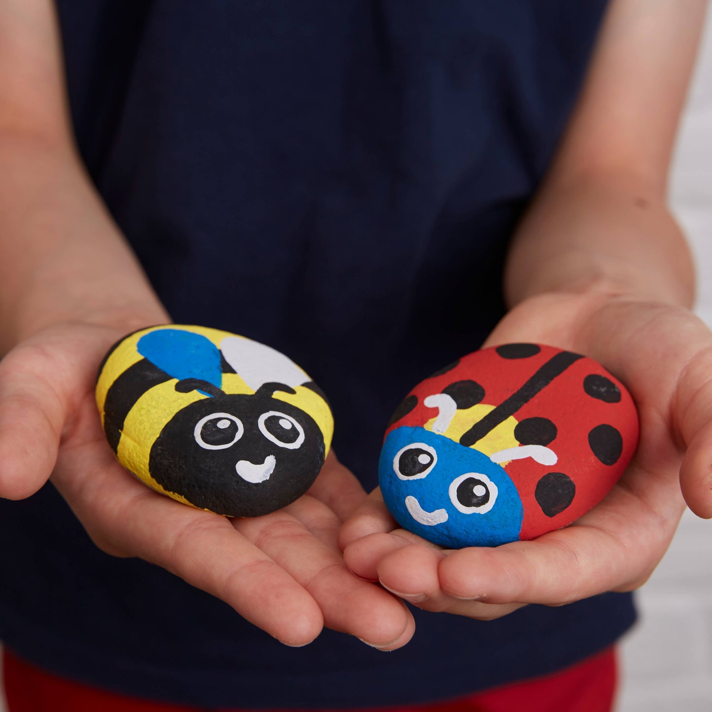 Royal Horticultural Society Rock Painting Kit - Bugs