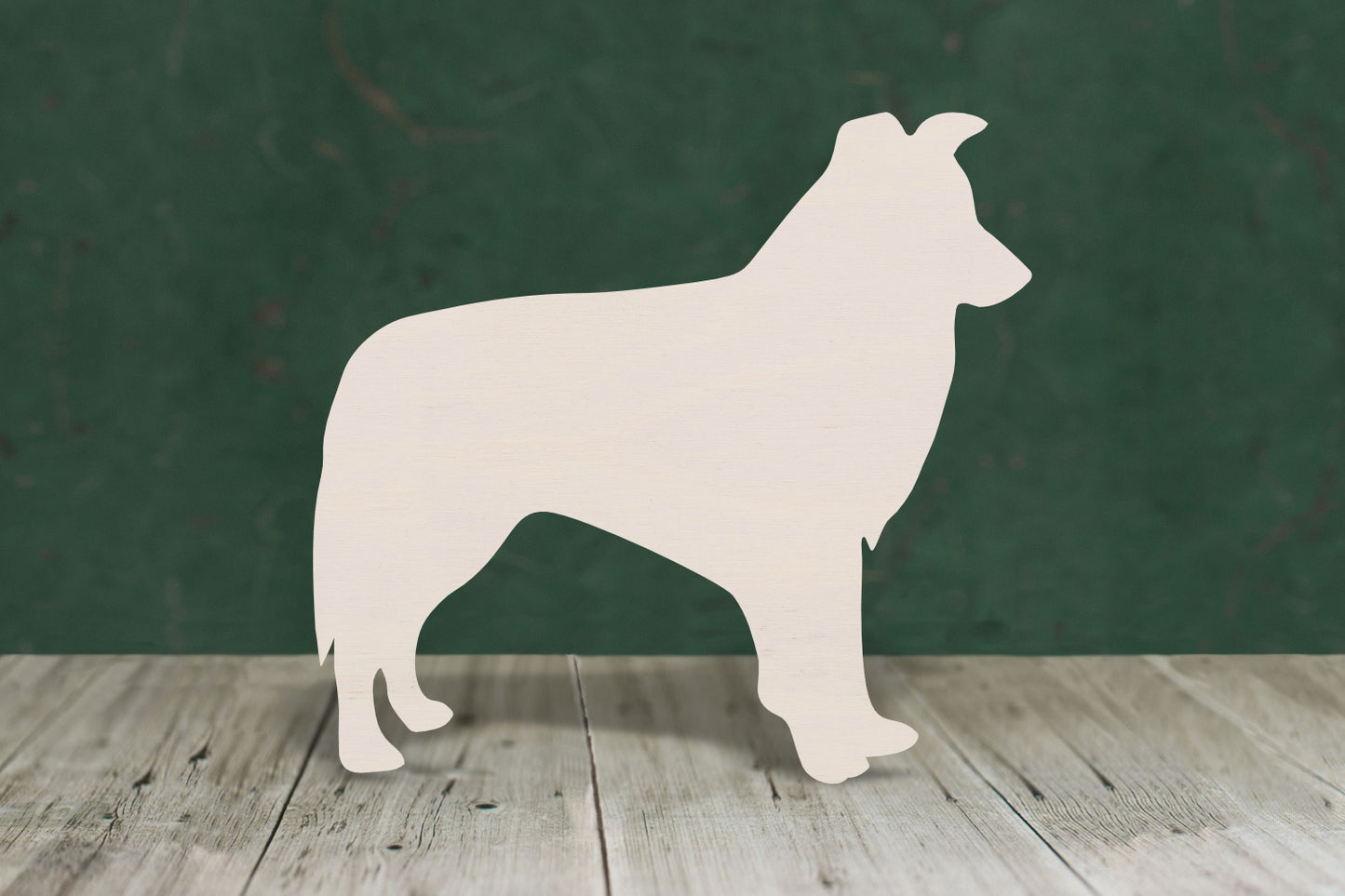 Border collie - plywood