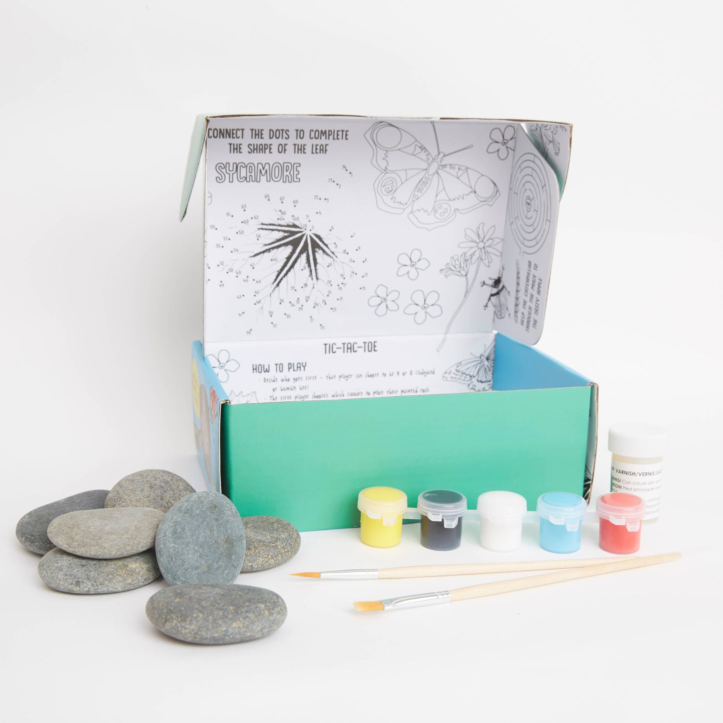 Royal Horticultural Society Rock Painting Kit - Bugs