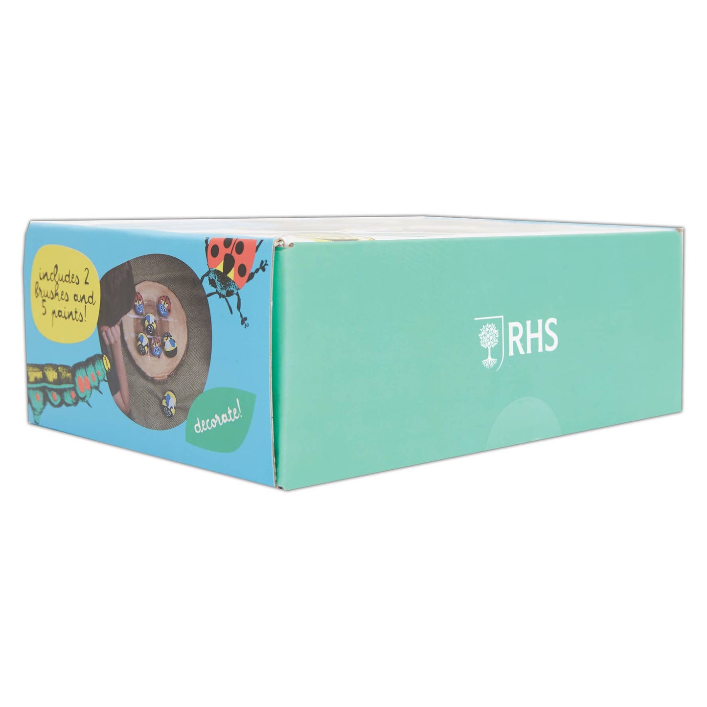 Royal Horticultural Society Rock Painting Kit - Bugs