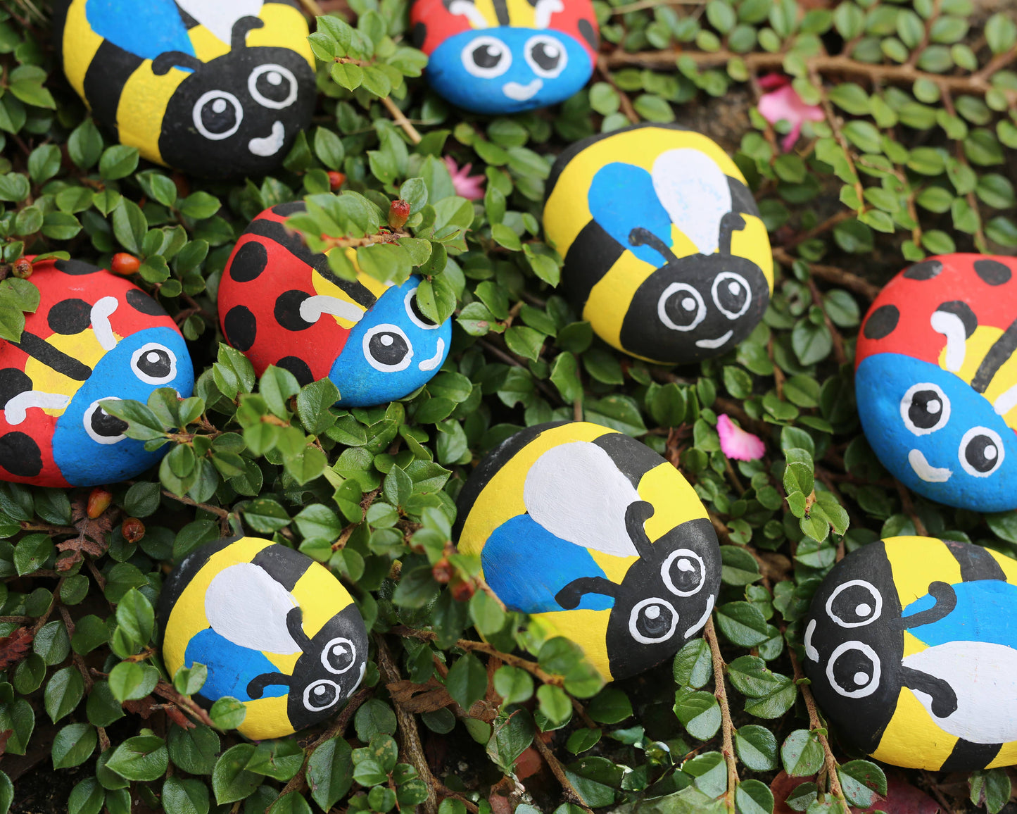 Royal Horticultural Society Rock Painting Kit - Bugs