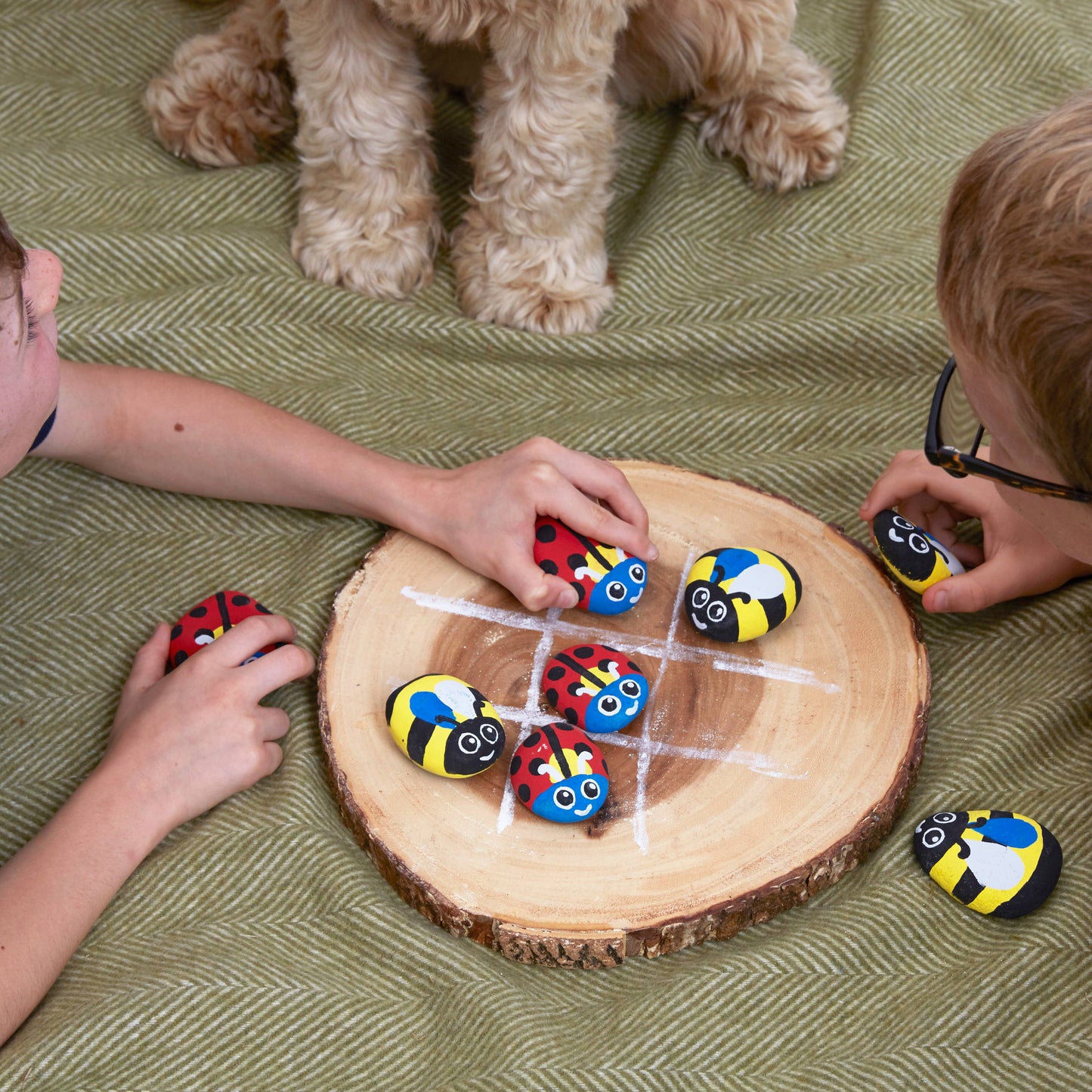 Royal Horticultural Society Rock Painting Kit - Bugs