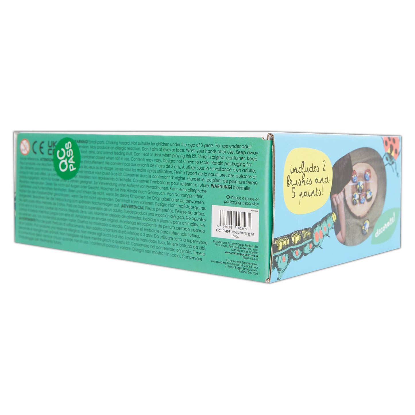 Royal Horticultural Society Rock Painting Kit - Bugs